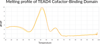 TEAD4 Cofactor-Binding Domain (human, recombinant)