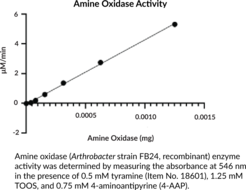 Amine Oxidase (Arthrobacter strain FB24, recombinant)
