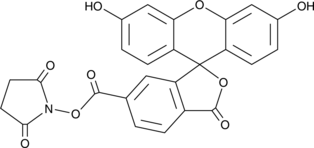 6-CFSE (6-Carboxyfluorescein NHS ester, 6-Carboxyfluorescein N-hydroxysuccinimide ester, 6-Carboxyfluorescein N-Succinimidyl ester, 6-FAM SE, 6-FAM N-succinimidyl ester, CAS Number: 92557-81-8)