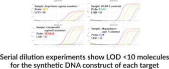 Bacterial Vaginosis Primary (QuantStudio) Multiplexed qPCR Assay