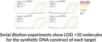 Candidiasis Primary (QuantStudio) Multiplexed qPCR Assay Bundle
