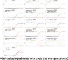 STI11 (Genital ulcer 2) (QuantStudio) Multiplexed qPCR Assay Bundle