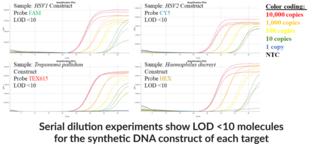 STI11 (Genital ulcer 2) (QuantStudio) Multiplexed qPCR Assay Bundle