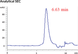 Cbl-b Substrate-binding Domain (human, recombinant)