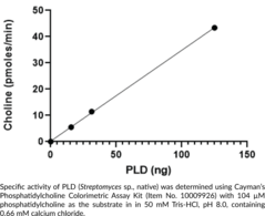 Phospholipase D (Streptomyces sp., native) (Phospholipase D-like Domain-containing Protein, PLD)