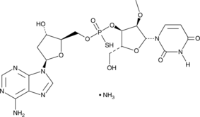 Inarigivir (ammonium salt) (ORI-9020, CAS Number: 2172788-92-8)