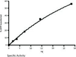 JAK3 Kinase Domain (human, recombinant)