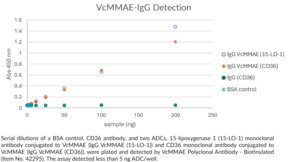 VcMMAE Polyclonal Antibody - Biotinylated (VC-MMAE, VC-Monomethyl Auristatin E Conjugate)