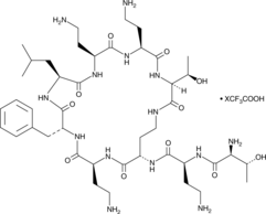 Polymyxin B Nonapeptide (trifluoroacetate salt) (PBNP, PMBN, CAS Number: 3041171-24-5)