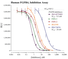 Fibroblast Growth Factor Receptor 4 and β-Klotho (FGFR/β-Klotho) Reporter Assay System
