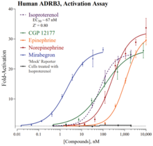Human Adrenoceptor Beta 3 Reporter Assay System