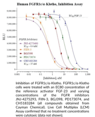 Human Fibroblast Growth Factor 1c/α-Klotho (FGFR1c/α-Klotho) for Endocrine FGF Signaling Reporter Assay System