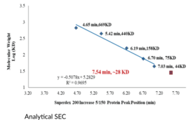 IFN-α2 (human, recombinant)