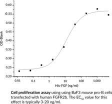 FGF7 (human, recombinant)