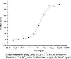 FGF9 (human, recombinant)