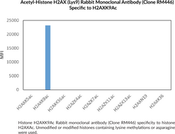Histone H2AXK9Ac Rabbit Monoclonal Antibody (Clone RM446)