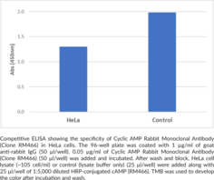 Cyclic AMP Rabbit Monoclonal Antibody (Clone RM466)