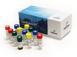LipidLaunch™ Ionizable Lipid LNP Screening Set | Cayman Chemical