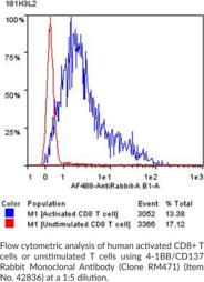 4-1BB/CD137 Rabbit Monoclonal Antibody (Clone RM471)