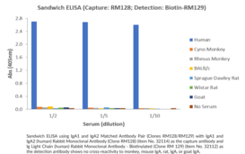 IgA1 and IgA2 Matched Antibody Pair (Clones RM128/RM129)