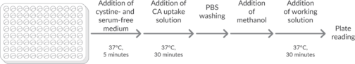 Cystine Uptake Assay Kit