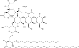 C24:1 Ganglioside GM1 (d18:1/24:1) (ammonium salt) (C24:1 GM1, N-Nervonoyl Monosialoganglioside GM1, N-Selacholeoyl Monosialoganglioside GM1, N-Tetracosenoyl-(cis-15)-monosialoganglioside GM1)
