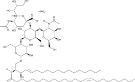 C24:1 Ganglioside GM2 (d18:1/24:1) (ammonium salt) (C24:1 GM2, N-Nervonoyl-(cis-15)-monosialoganglioside GM2, N-Selacholeoyl-(cis-15)-monosialoganglioside GM2, N-Tetracosenoyl-(cis-15)-monosialoganglioside GM2)