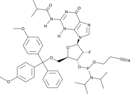 DMT-2'-fluoro-dG(Ib) Phosphoramidite (CAS Number: 144089-97-4)