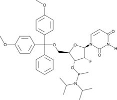 5’-O-DMTr-2’-FU-Methyl Phosphonamidite