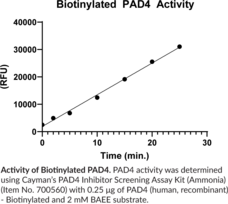 PAD4 (human, recombinant) - Biotinylated