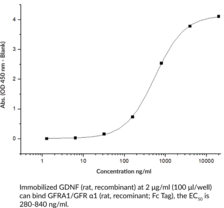 GDNF (rat, recombinant)
