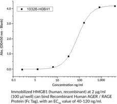 HMGB1 (human, recombinant)