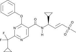WRN Inhibitor 8 (CAS Number: 3026502-95-1)