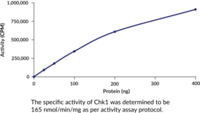 Chk1 (human, recombinant)
