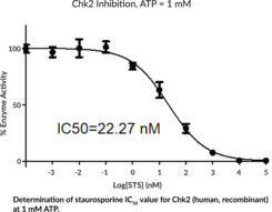 Chk2 (human, recombinant)