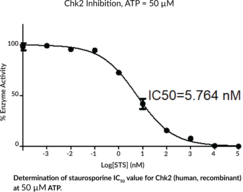 Chk2 (human, recombinant)