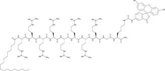 FITC-Stearyl-R8 (FITC-Octadecyl-R8, FITC-Stearyl-octaarginine)