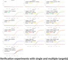 AMPC (QuantStudio) Multiplexed qPCR Assay Bundle