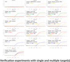 AMR1 (QuantStudio) Multiplexed qPCR Assay Bundle