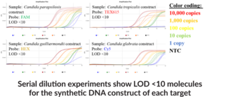 Candida M1 (QuantStudio) Multiplexed qPCR Assay Bundle