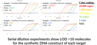 Candida M2 (QuantStudio) Multiplexed qPCR Assay Bundle