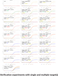CARB (QuantStudio) Multiplexed qPCR Assay Bundle
