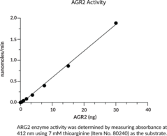 ARG2 (human, recombinant)