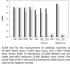 Microsomal Epoxide Hydrolase Monoclonal Antibody (Clone 1H9)
