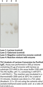 Lipopolysaccharide α-1,4-galactosyltransferase (N. meningitidis)