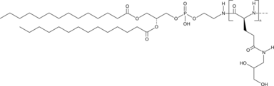 DMPE-PGA-diol40