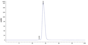 DDR2 (human, recombinant)