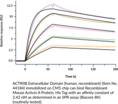 ACTRIIB Extracellular Domain (human, recombinant)
