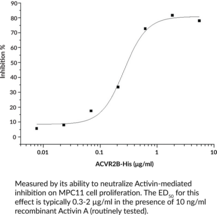 ACTRIIB Extracellular Domain (human, recombinant)