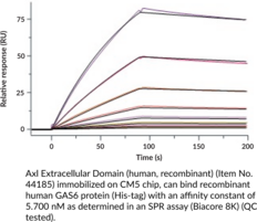 Axl Extracellular Domain (human, recombinant)